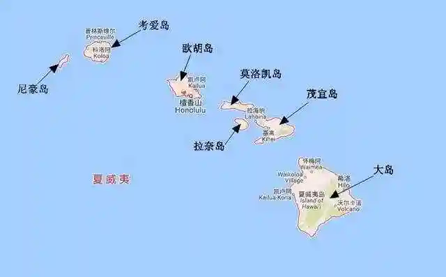 美国各州的代孕法律指南（2025年更新）