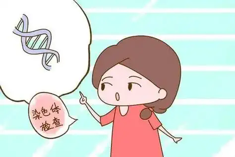 试管婴儿为什么做染色体检查