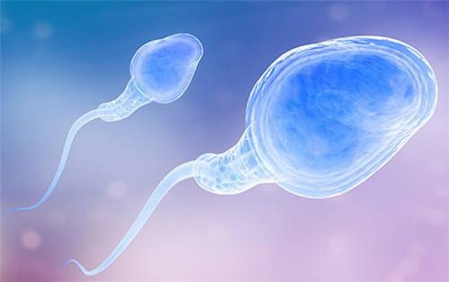 提高精子质量对不孕治疗有什么积极影响？
