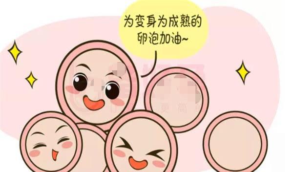 自然周期取卵
