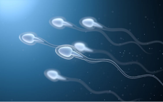 为什么精子质量在代孕试管婴儿周期中比你想象的更重要?