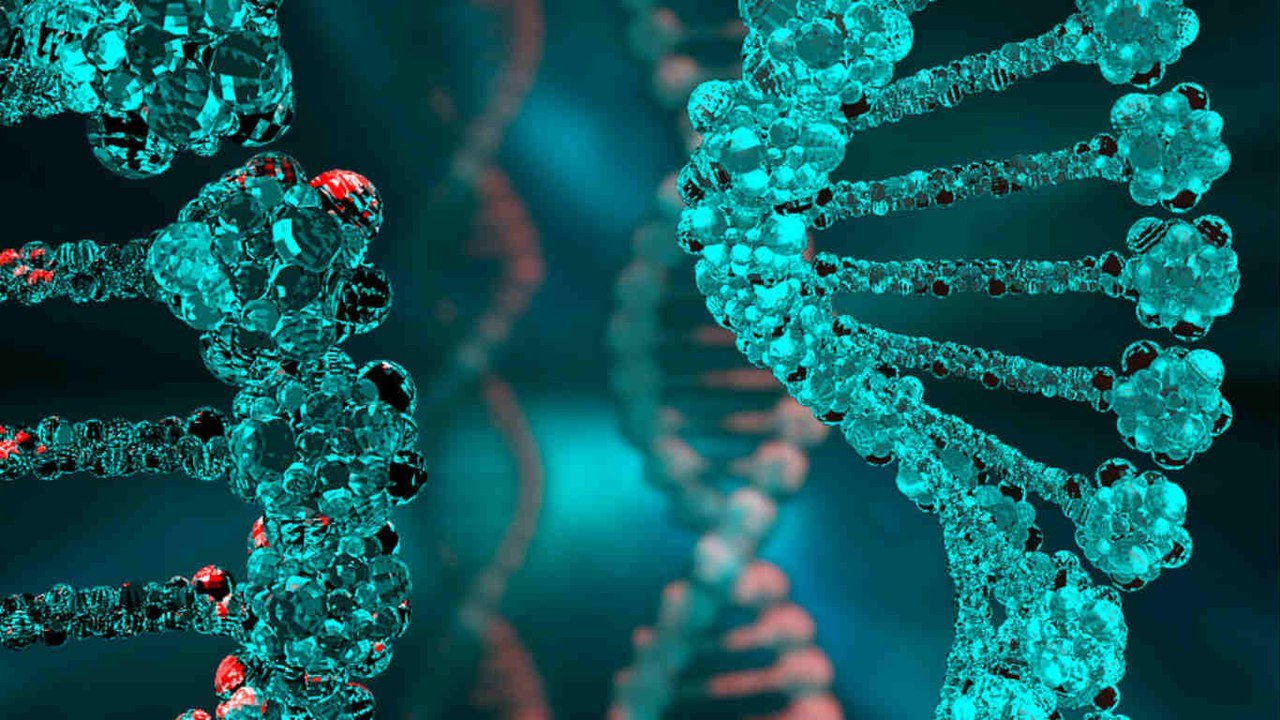 代孕DNA