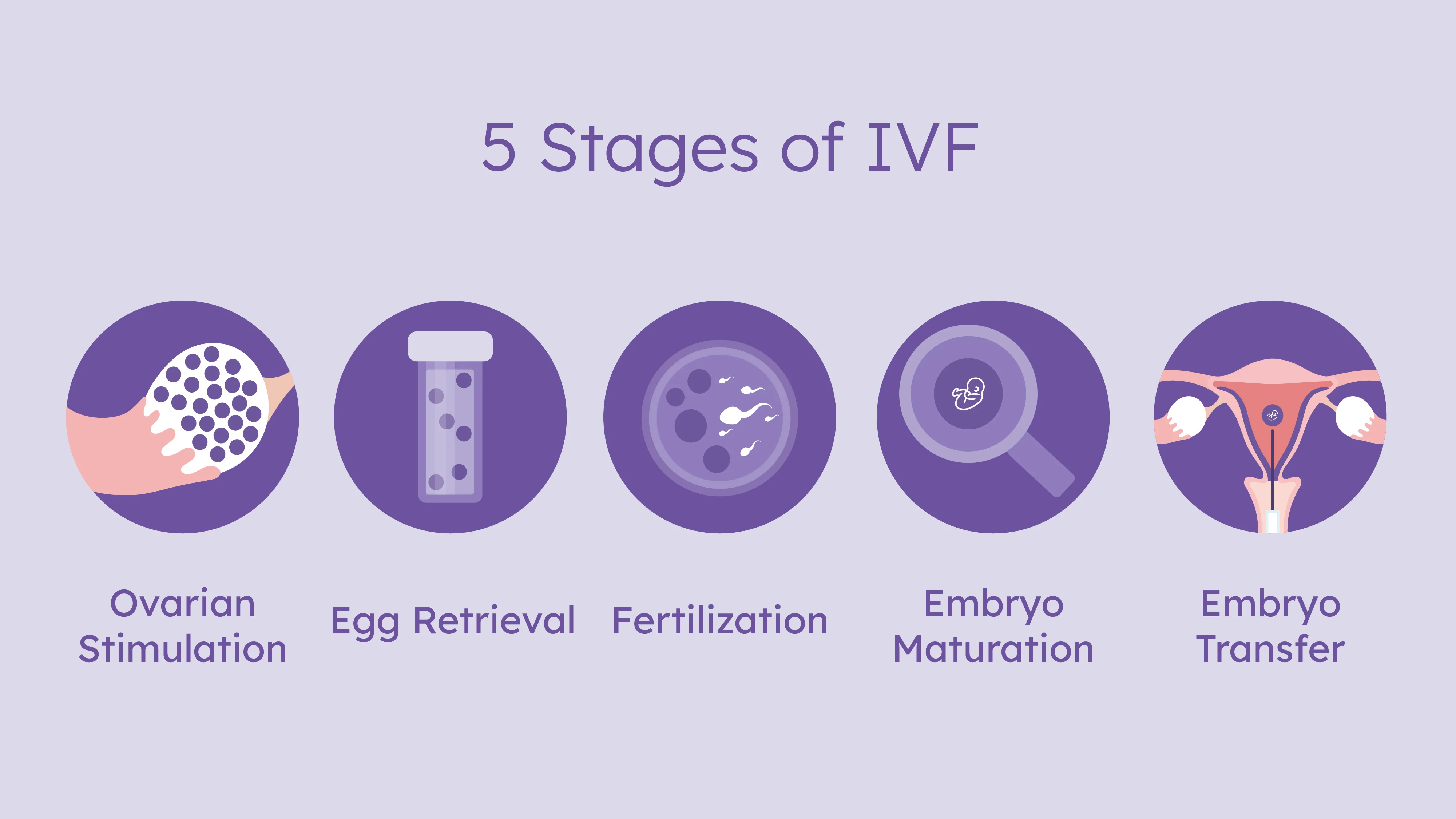 试管 取卵 移植
