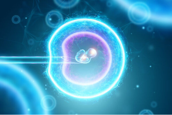 为什么选择 PGT-A?PGT-A(胚胎植入前非整倍体遗传检测)相关知识详解