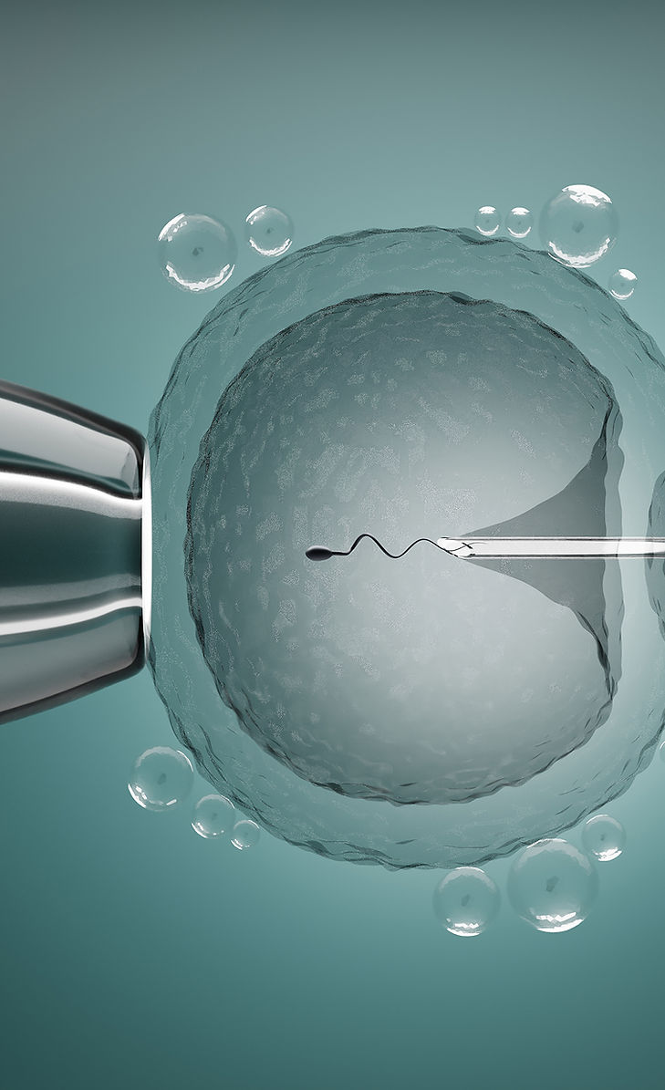 加拿大代孕指南：法律、流程、费用及亲子关系确认全解析