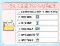 吉尔吉斯斯坦代孕出生的宝宝回国落户指南